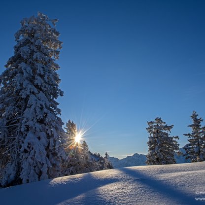 Winterlandschaft bei Sonnenaufgang am Regenkar am Kasberg  | © Heinz Hudelist