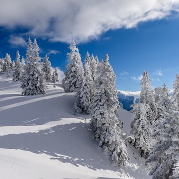 verschneite Winterlandschaft Alter Ochsenboden am Kasberg  | © Heinz Hudelist
