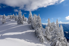 verschneite Winterlandschaft Alter Ochsenboden am Kasberg  | © Heinz Hudelist