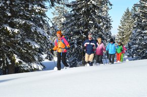 experience in winter while hiking on Kasberg | © Almtal-Bergbahnen