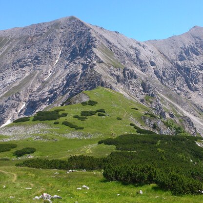 alpine terrain and towards the peaks!