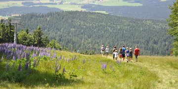 family hiking in summer in the region Hochficht