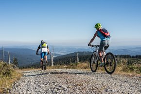 Mit dem Mountainbike die Region Hochficht erkunden.  | © Weissenbrunner