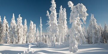 Der Winter zeigt sich von seiner besten Seite im Skigebiet Hochficht. 