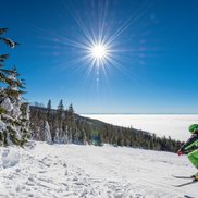 In der Skiregion Hochficht ist der Skispaß sowohl für die Kleinen als auch für die Großen garantiert. 