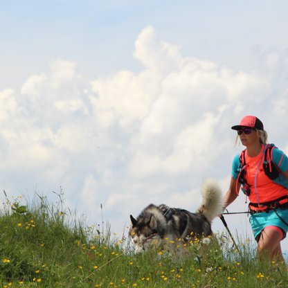 In der Region Hochkössen mit dem Hund auf den Berg wandern. 