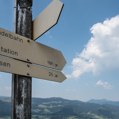 Signposts in the hiking region Hochkössen in summer