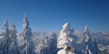 Die traumhafte Winterlandschaft im Skigebiet Hochkössen.