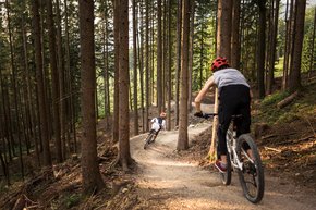 Zwei Biker, die hintereinander den Singletrail am Wurbauerkogel durch den Wald flitzen. | © Roland Haschka