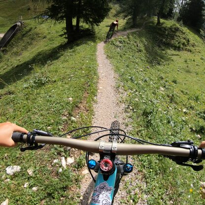 Mountain bike on the single trail - Wurzeralm