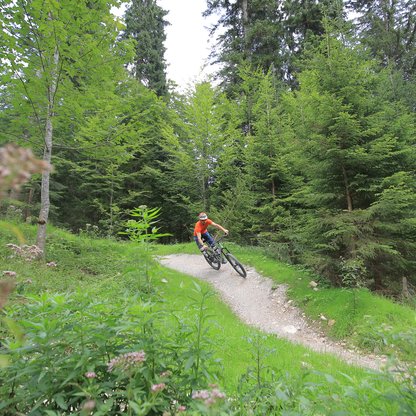 Mountain biker on the varied mountain bike routes at wurzeralm