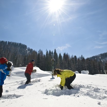 snowball fight in winter for the whole family